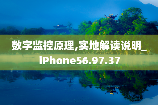 数字监控原理,实地解读说明_iPhone56.97.37