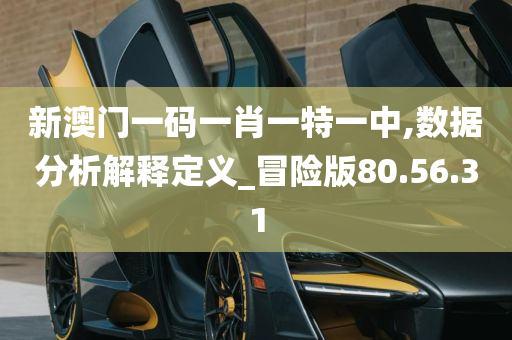 新澳门一码一肖一特一中,数据分析解释定义_冒险版80.56.31