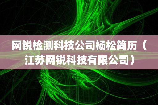 网锐检测科技公司杨松简历（江苏网锐科技有限公司）