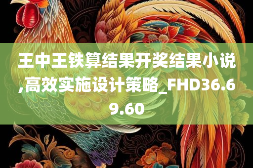 王中王铁算结果开奖结果小说,高效实施设计策略_FHD36.69.60