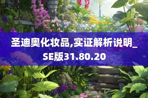 圣迪奥化妆品,实证解析说明_SE版31.80.20