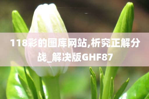 118彩的图库网站,析究正解分战_解决版GHF87