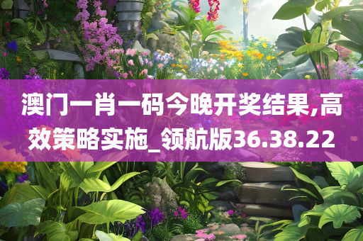 澳门一肖一码今晚开奖结果,高效策略实施_领航版36.38.22