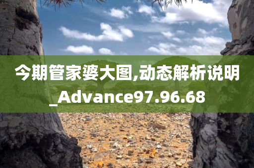 今期管家婆大图,动态解析说明_Advance97.96.68