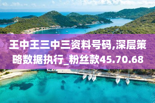 王中王三中三资料号码,深层策略数据执行_粉丝款45.70.68