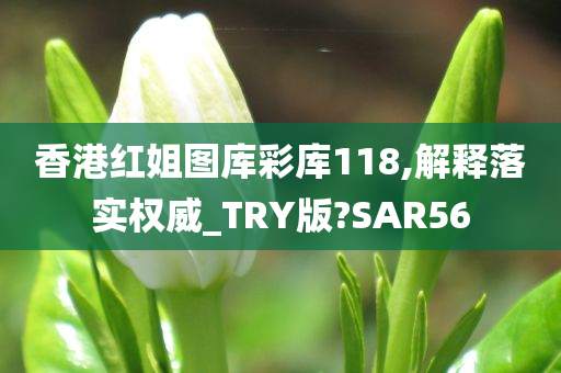 香港红姐图库彩库118,解释落实权威_TRY版?SAR56