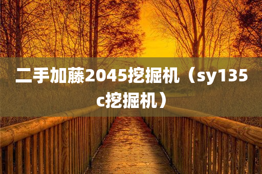 二手加藤2045挖掘机（sy135c挖掘机）