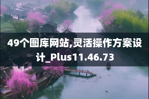 49个图库网站,灵活操作方案设计_Plus11.46.73