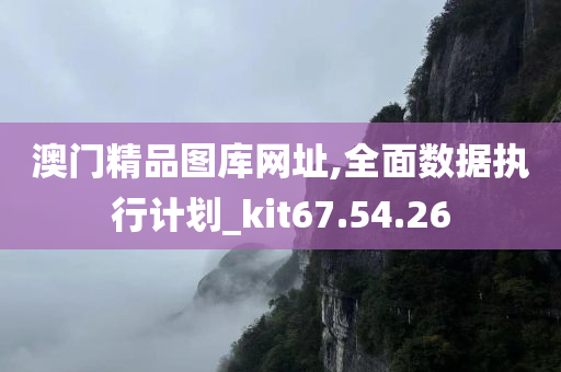 澳门精品图库网址,全面数据执行计划_kit67.54.26