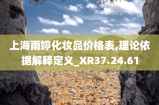 上海雨婷化妆品价格表,理论依据解释定义_XR37.24.61