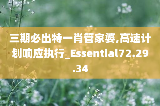 三期必出特一肖管家婆,高速计划响应执行_Essential72.29.34