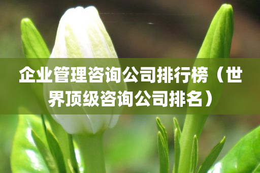 企业管理咨询公司排行榜（世界顶级咨询公司排名）