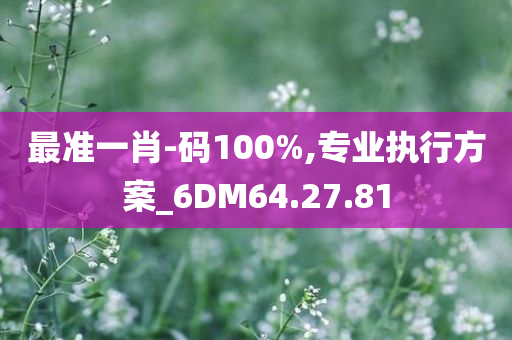 最准一肖-码100%,专业执行方案_6DM64.27.81