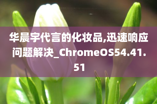 华晨宇代言的化妆品,迅速响应问题解决_ChromeOS54.41.51