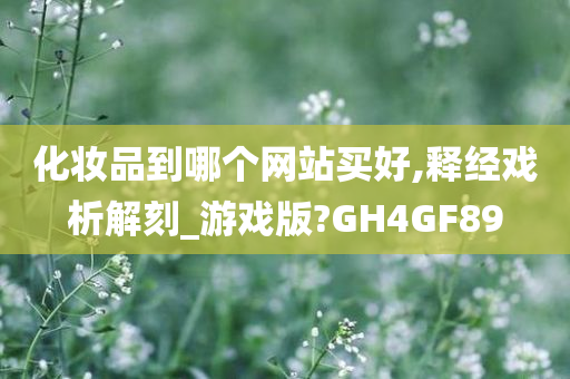 化妆品到哪个网站买好,释经戏析解刻_游戏版?GH4GF89