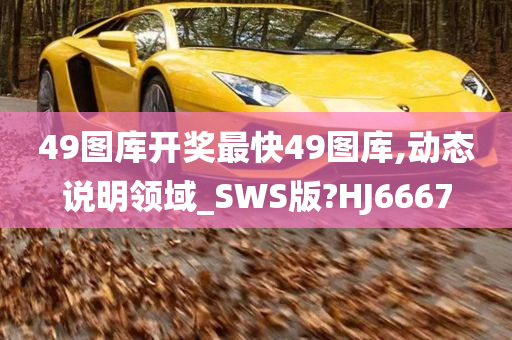 49图库开奖最快49图库,动态说明领域_SWS版?HJ6667