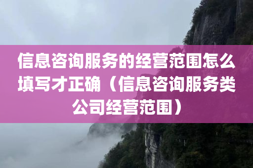 信息咨询服务的经营范围怎么填写才正确（信息咨询服务类公司经营范围）