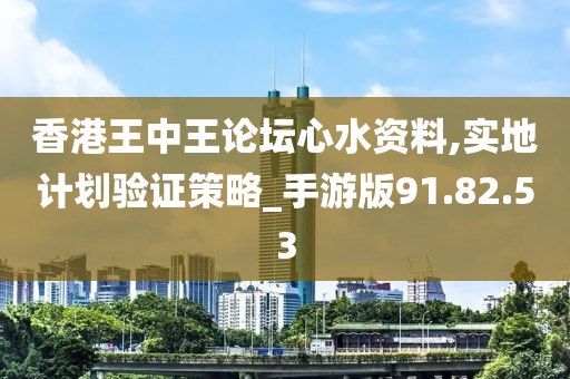 香港王中王论坛心水资料,实地计划验证策略_手游版91.82.53