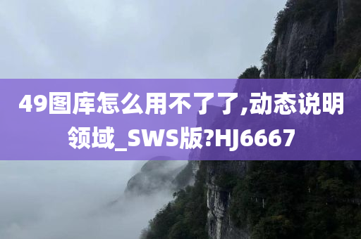 49图库怎么用不了了,动态说明领域_SWS版?HJ6667