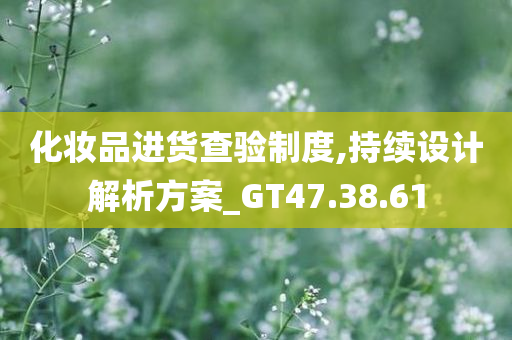 化妆品进货查验制度,持续设计解析方案_GT47.38.61