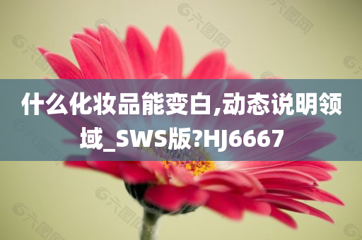 什么化妆品能变白,动态说明领域_SWS版?HJ6667