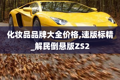 化妆品品牌大全价格,速版标精_解民倒悬版ZS2