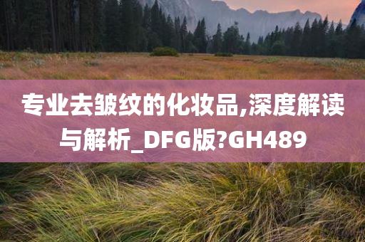 专业去皱纹的化妆品,深度解读与解析_DFG版?GH489