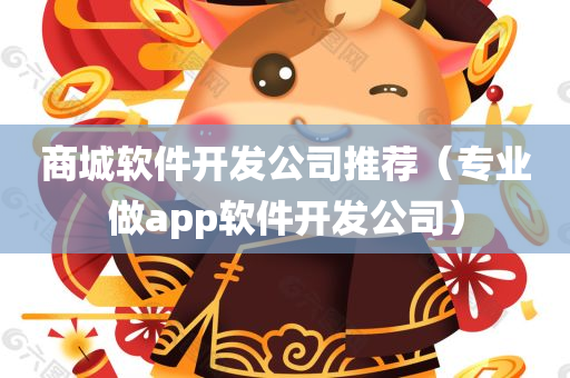 商城软件开发公司推荐（专业做app软件开发公司）