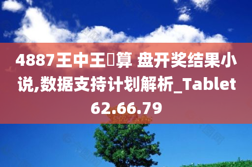 4887王中王鉄算 盘开奖结果小说,数据支持计划解析_Tablet62.66.79