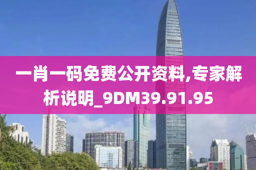 一肖一码免费公开资料,专家解析说明_9DM39.91.95