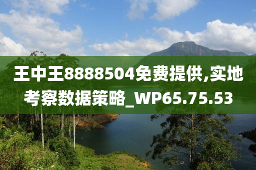 王中王8888504免费提供,实地考察数据策略_WP65.75.53