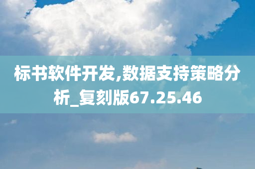 标书软件开发,数据支持策略分析_复刻版67.25.46