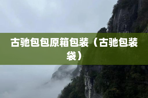 古驰包包原箱包装（古驰包装袋）