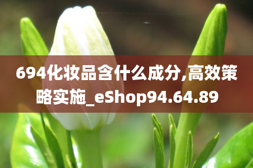 694化妆品含什么成分,高效策略实施_eShop94.64.89