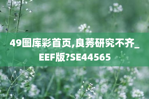 49图库彩首页,良莠研究不齐_EEF版?SE44565