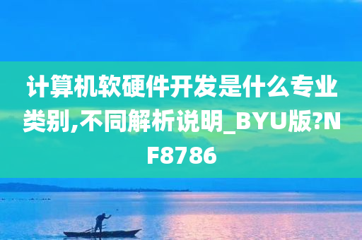 计算机软硬件开发是什么专业类别,不同解析说明_BYU版?NF8786