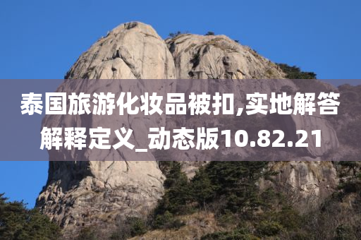 泰国旅游化妆品被扣,实地解答解释定义_动态版10.82.21