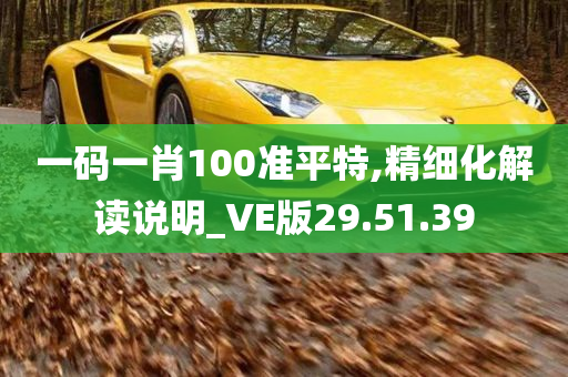 一码一肖100准平特,精细化解读说明_VE版29.51.39