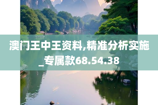 澳门王中王资料,精准分析实施_专属款68.54.38