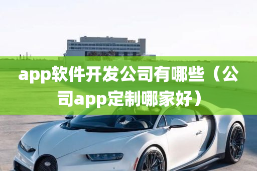 app软件开发公司有哪些（公司app定制哪家好）