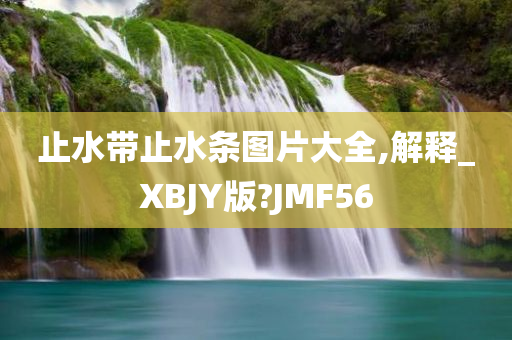 止水带止水条图片大全,解释_XBJY版?JMF56