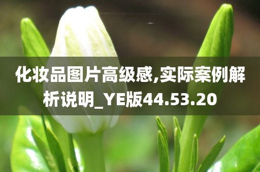 化妆品图片高级感,实际案例解析说明_YE版44.53.20