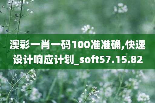 澳彩一肖一码100准准确,快速设计响应计划_soft57.15.82