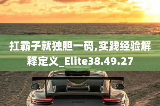 扛霸子就独胆一码,实践经验解释定义_Elite38.49.27