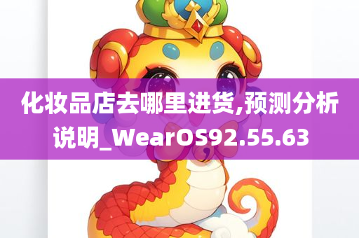 化妆品店去哪里进货,预测分析说明_WearOS92.55.63