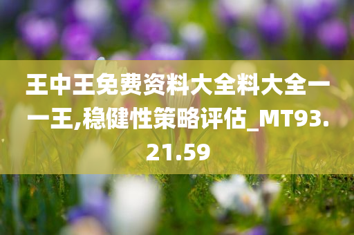 王中王免费资料大全料大全一一王,稳健性策略评估_MT93.21.59