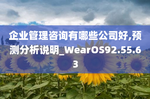 企业管理咨询有哪些公司好,预测分析说明_WearOS92.55.63