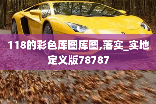 118的彩色厍图库图,落实_实地定义版78787