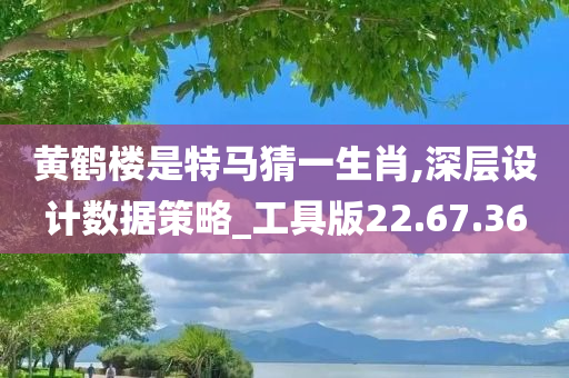 黄鹤楼是特马猜一生肖,深层设计数据策略_工具版22.67.36