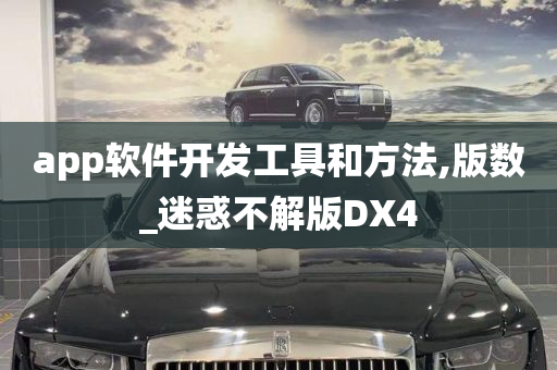 app软件开发工具和方法,版数_迷惑不解版DX4